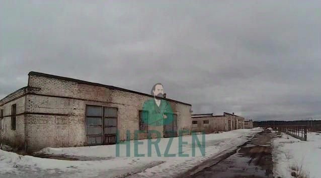 п Новофедоровское д Кузнецово Апрелевка фото