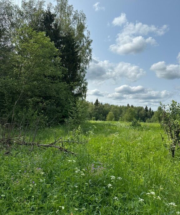 земля г Истра фото 9