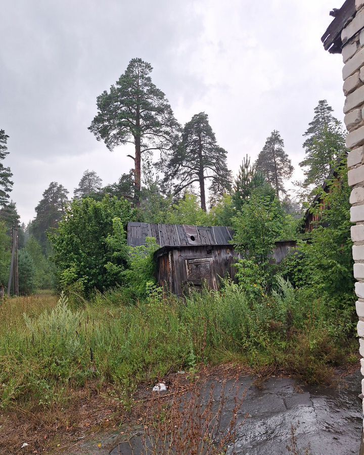 квартира г Арзамас ул Нагорная 3 сельский пос. Пошатово, Чернуха фото 13