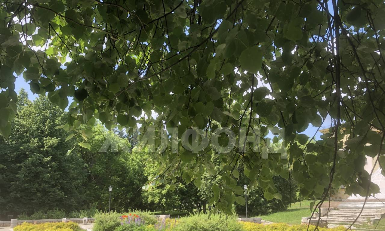 квартира г Новосибирск Богдана Хмельницкого ул Народная 43 фото 9