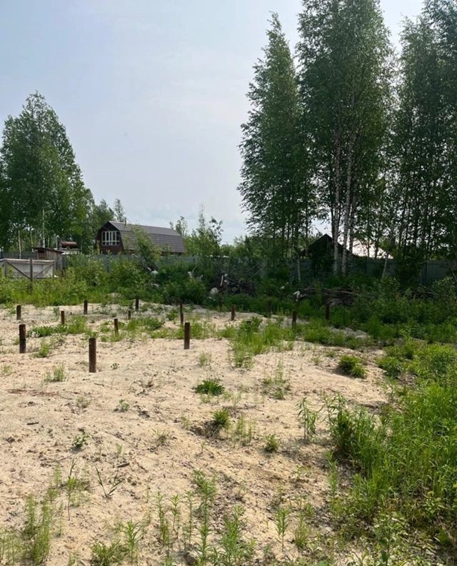 земля г Лангепас ул Солнечная СОНТСН Ягодка, Тюменская обл. фото 6