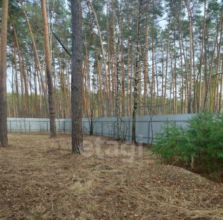 земля г Тамбов ул им маршала Малиновского 3г фото 1