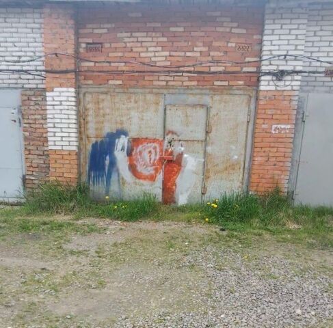 Девяткино фото