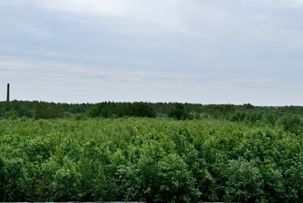 квартира р-н Всеволожский г Мурино Девяткино, улица Шоссе в Лаврики, 93 фото 11