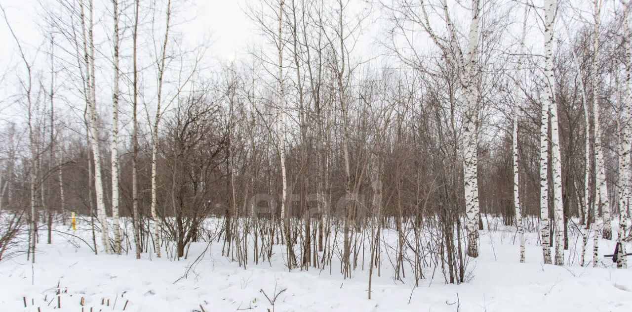земля г Тобольск ул. Якуба Занкиева, 14 фото 18