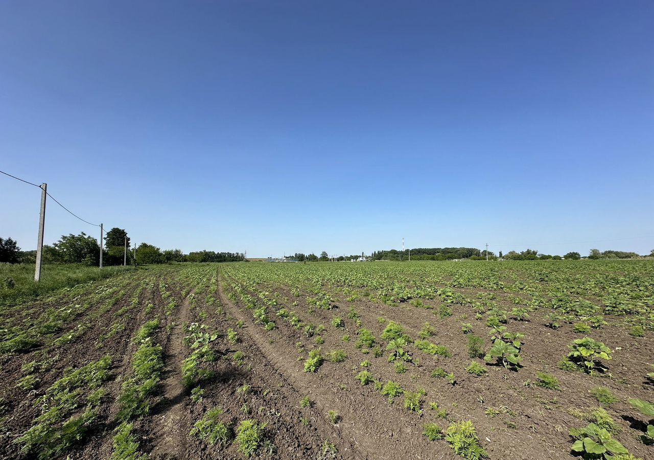 земля р-н Кореновский г Кореновск Кореновское городское поселение фото 4