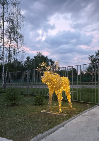 дом 4 фото