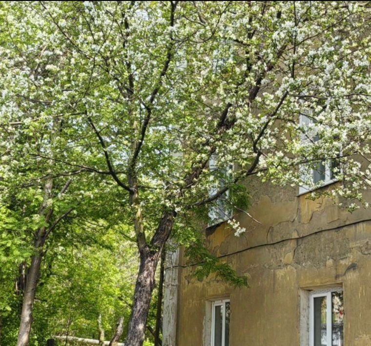 квартира г Киселевск ул Советская 20 фото 2