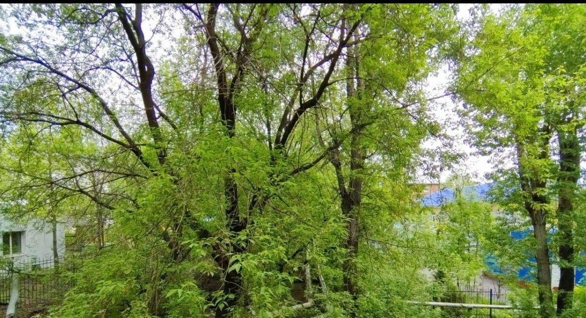 квартира г Киселевск ул Советская 20 фото 16