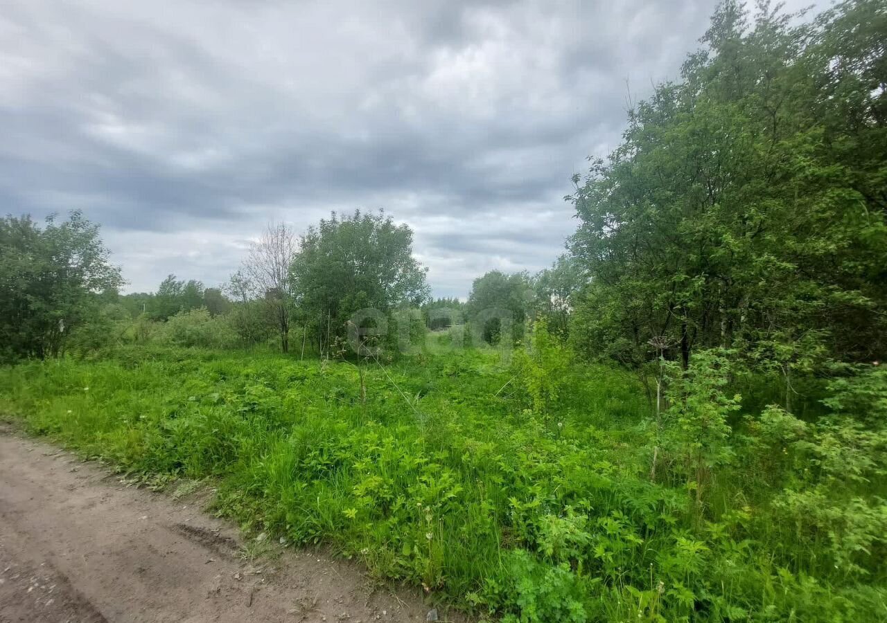 земля г Тобольск садоводческое товарищество Возрождение, Солнечная ул фото 7