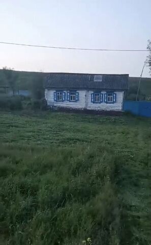 ул Московская Новодомосейкинский сельсовет, Респ Татарстан, Бавлы фото
