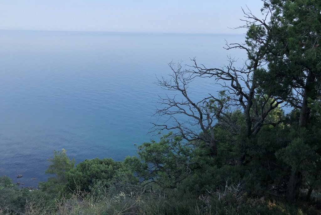 земля г Ялта пгт Санаторное ул Гагарина 5 фото 12