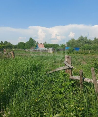 земля садоводческое товарищество Мичуринец фото