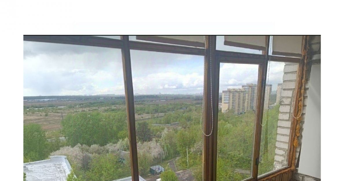 квартира г Лыткарино ул Ленина 25 Томилино фото 2