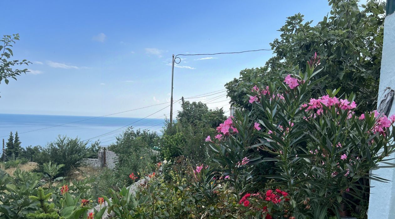 квартира г Ялта г Алупка спуск Виноградный, 6/1 фото 20