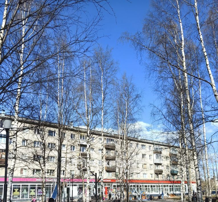 квартира г Архангельск р-н округ Майская Горка пр-кт Ленинградский 167 фото 18