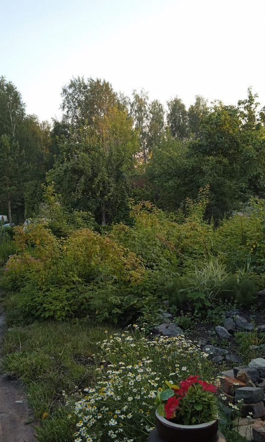 дом г Челябинск р-н Калининский снт Хлебосад фото 6