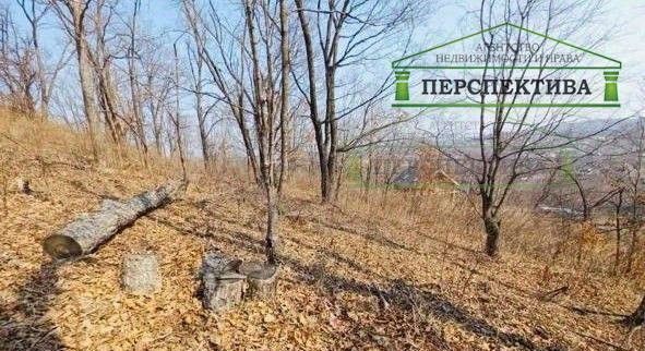 земля г Артем снт Березка-3 76 фото 9