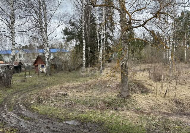 земля п Зубово 64 км, Клин, Рогачёвское шоссе фото