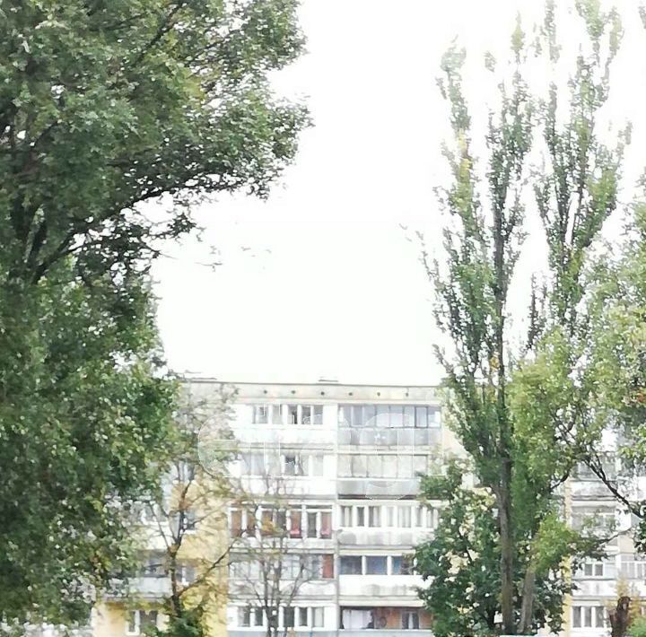 квартира г Брянск р-н Фокинский пр-кт Московский 15 фото 27