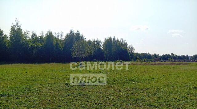 ул Ново-Никольская Опалиха фото