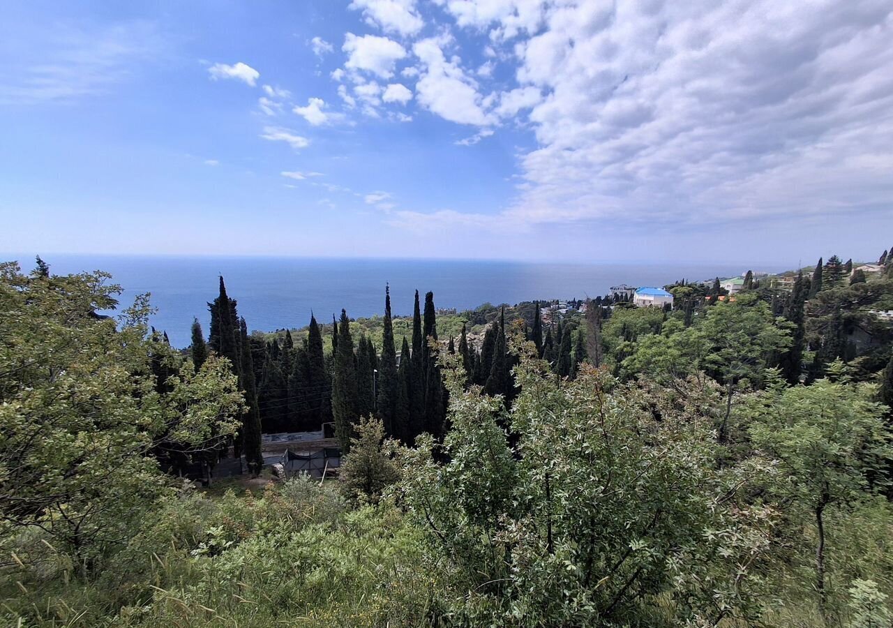 земля г Ялта г Алупка ул Ялтинская 12 фото 1