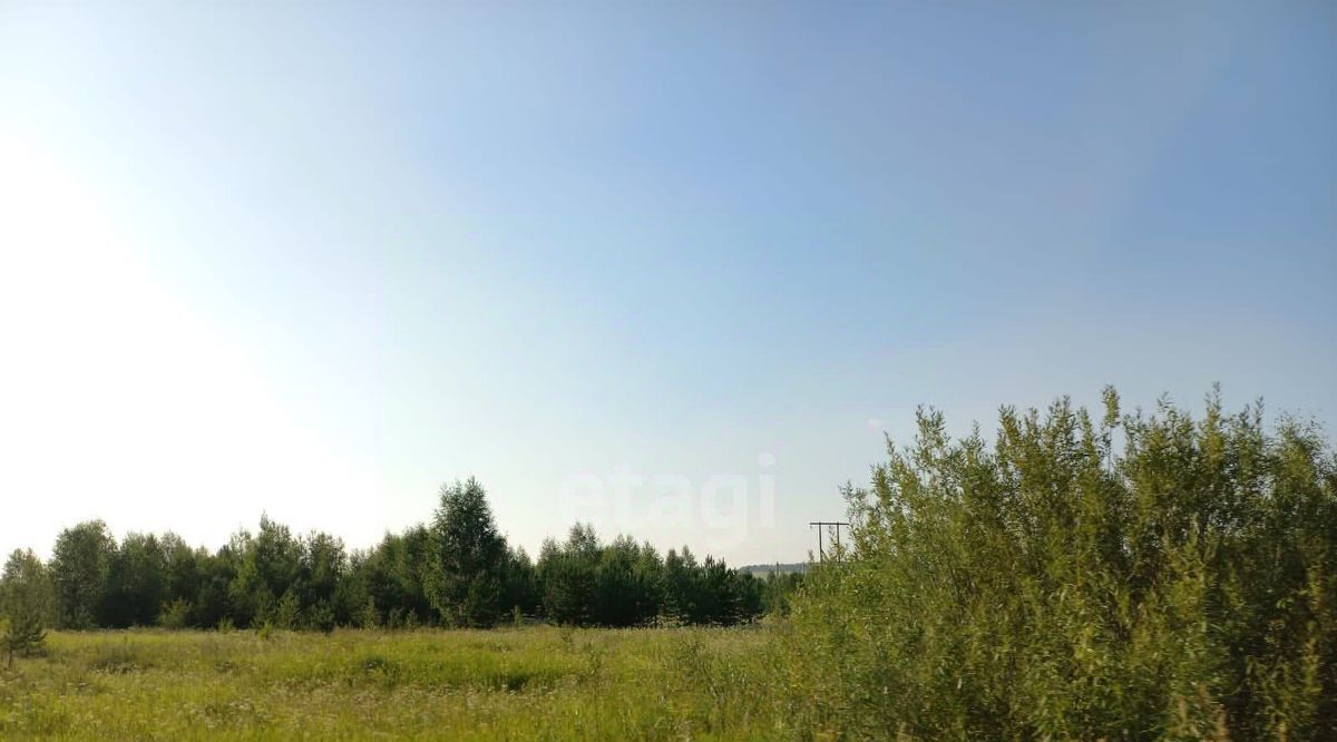 земля г Нижний Тагил с Елизаветинское фото 3