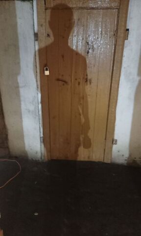 р-н Новокузнецкий с Ильинка Кемеровская обл. — Кузбасс, квартал А, Новокузнецк фото