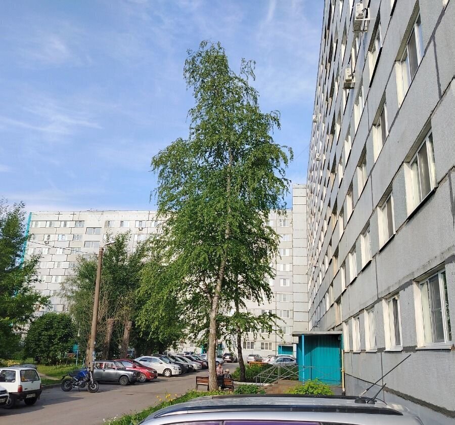 квартира г Пенза Пенза-4 ул Кронштадтская 2 р-н Октябрьский фото 12