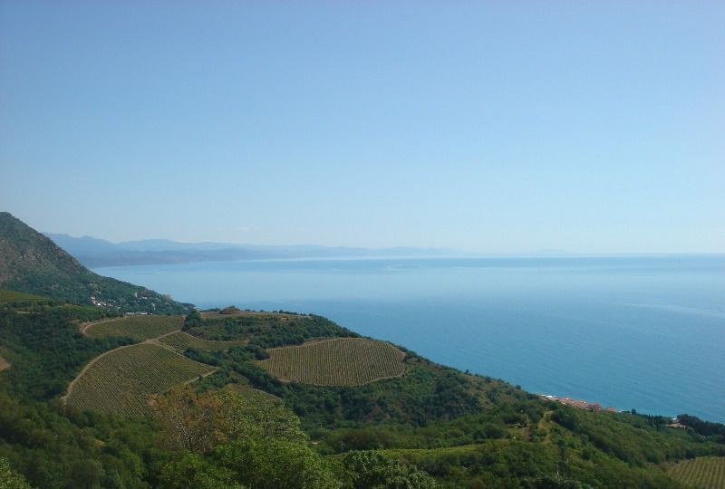 квартира г Алушта с Малый Маяк ул Морская 9 фото 1