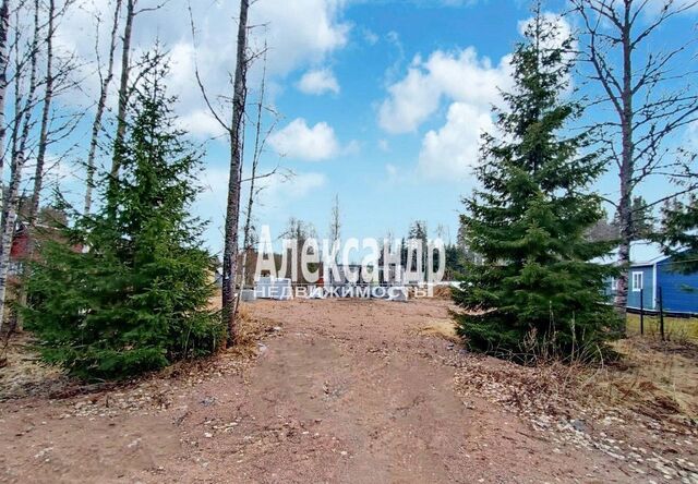 Трасса Скандинавия, 85 км, Советское городское поселение, 11, СНТ Лазурное фото