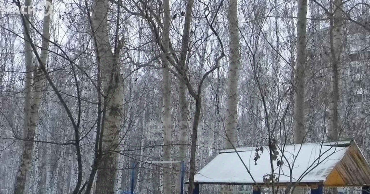 квартира г Омск р-н Кировский ул Ватутина 11а фото 5