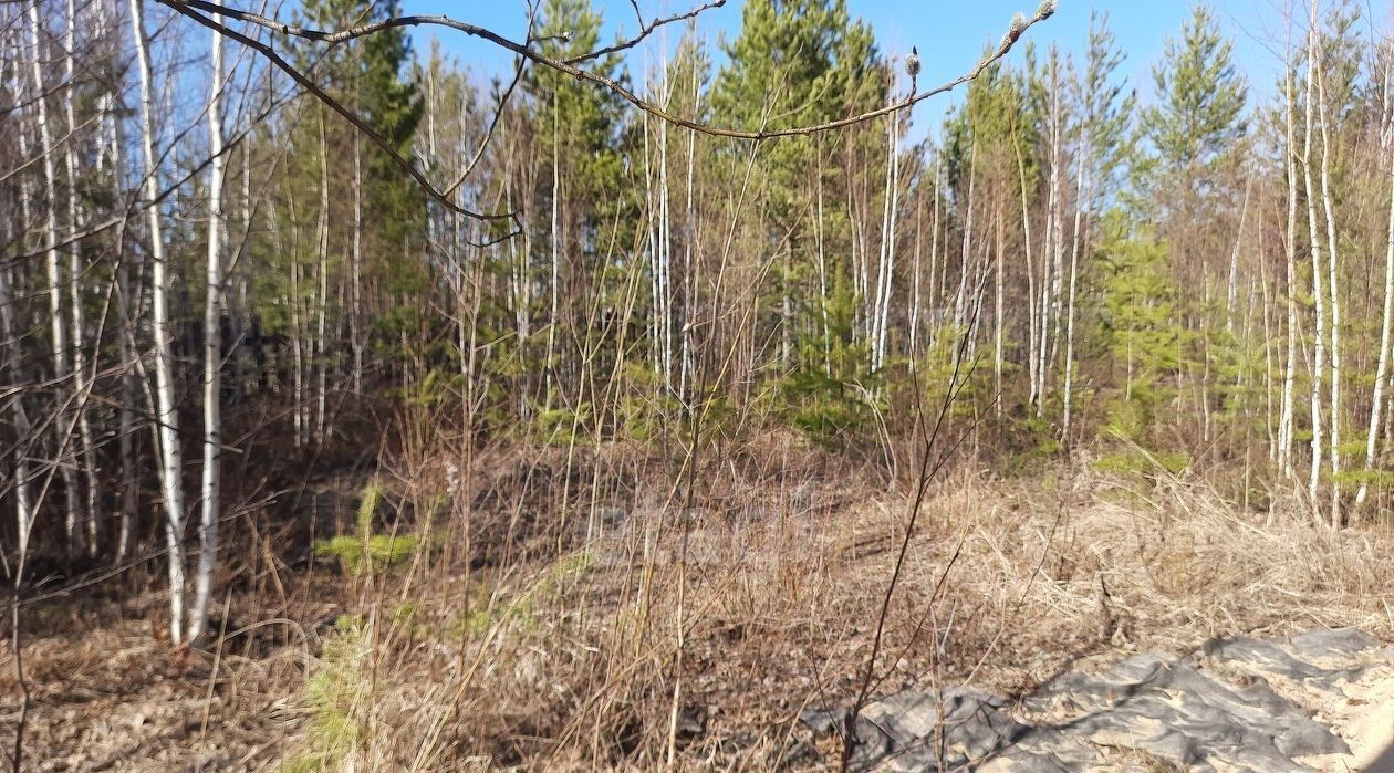 земля г Ревда с Кунгурка ул Надежды фото 1