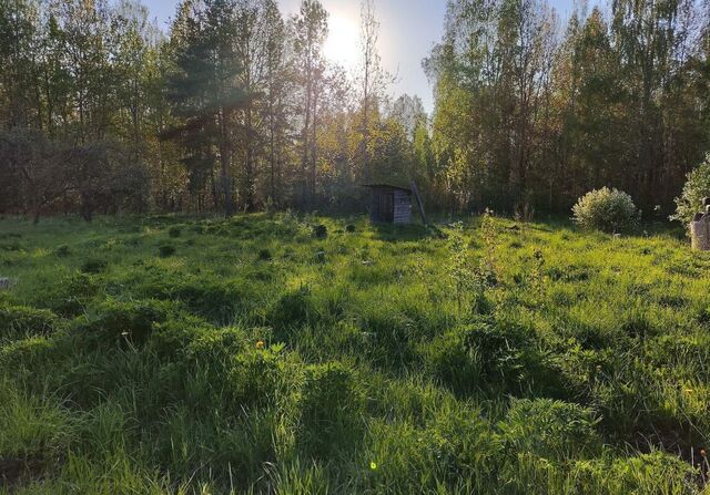ул Почтовая 49 км, Симферопольское шоссе фото