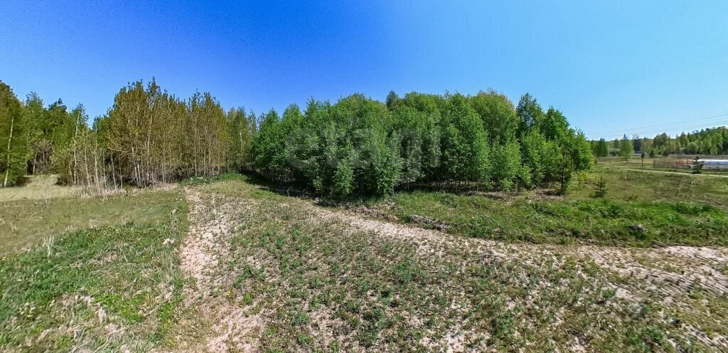 земля г Тюмень снт Зеленая Роща 12-я улица фото 7