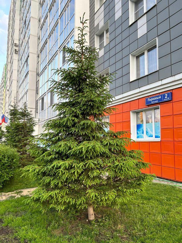 квартира г Пушкино снт Зеленоград Парковый бульвар, 2к 6, Goluboe, Moskovskaya oblast, Russia, 141551 фото 21