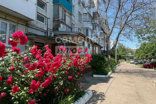 ул Ясенская 31/2 фото