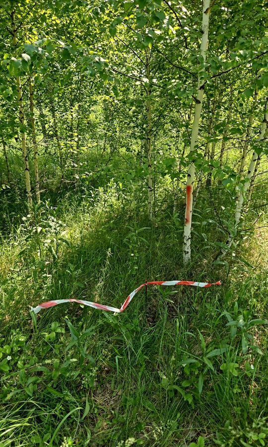 земля г Копейск Копейский г. о. фото 2