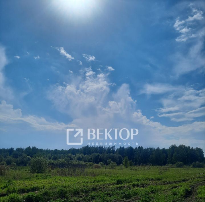 земля г Кострома Соколиное Гнездо кп фото 1