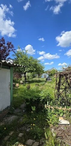 земля р-н Ленинградский снт Победа фото