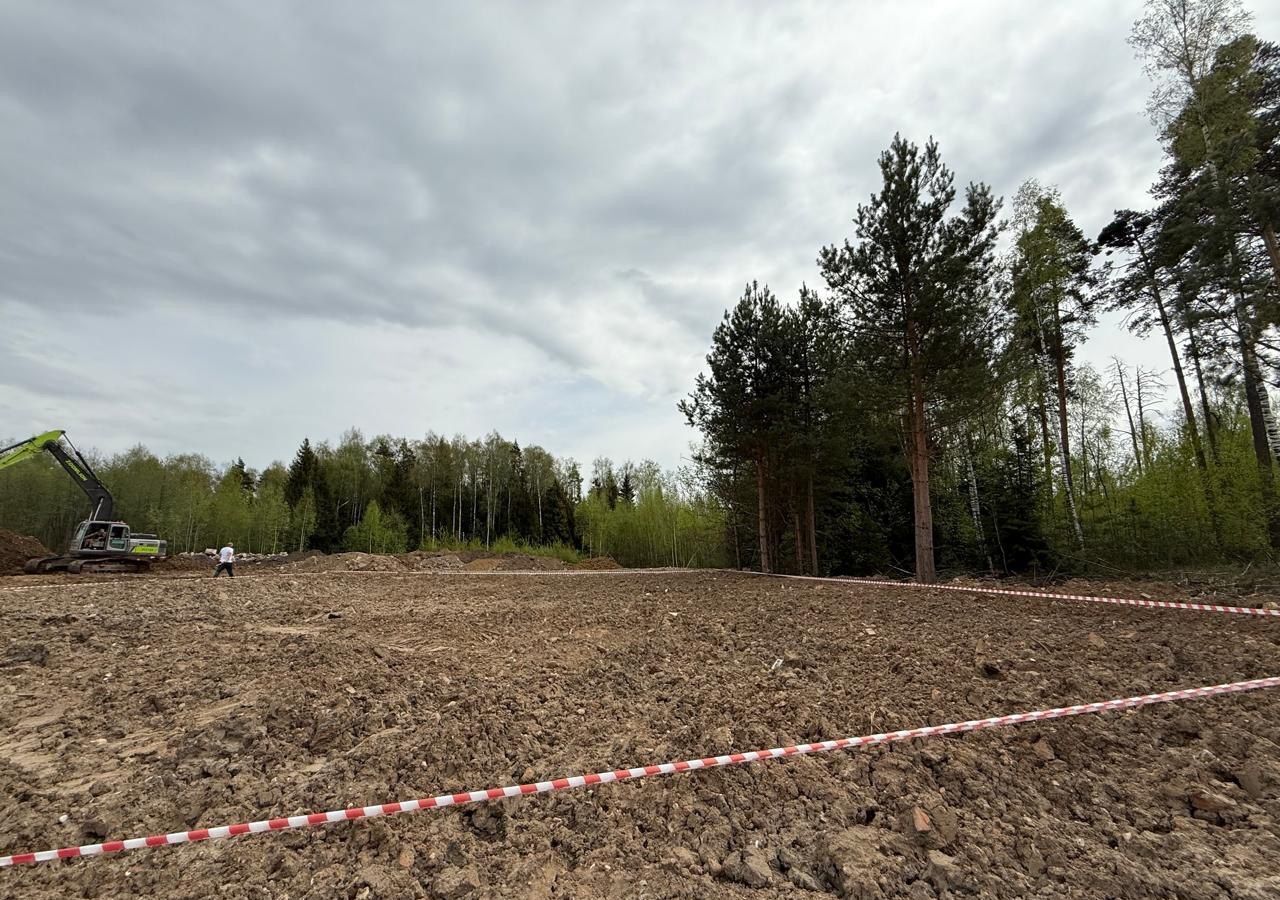 земля городской округ Богородский г Старая Купавна ул Шевченко 22 км, Горьковское шоссе фото 1