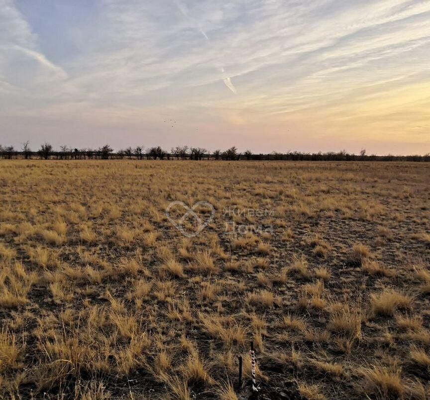 земля г Волгоград р-н Советский ул Кофейная территория село Песчанка фото 1