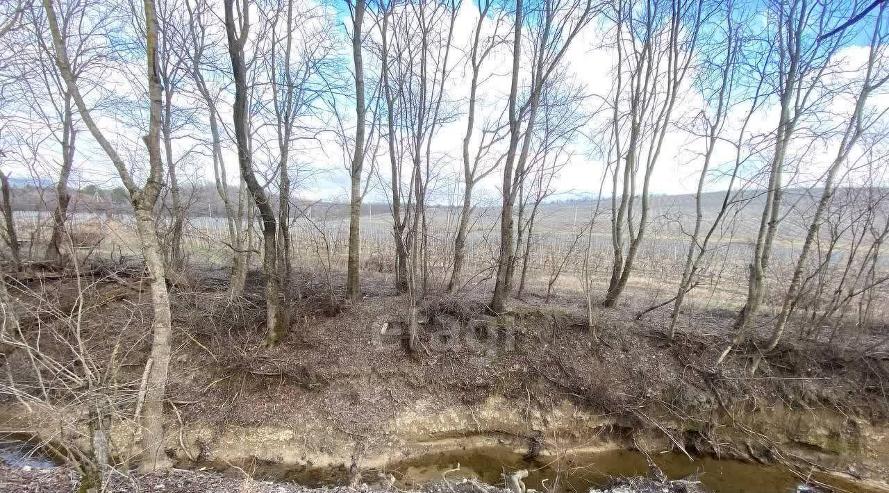 земля г Новороссийск с Абрау-Дюрсо ул Морстроевская фото 15