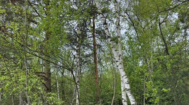 офис Железнодорожная фото