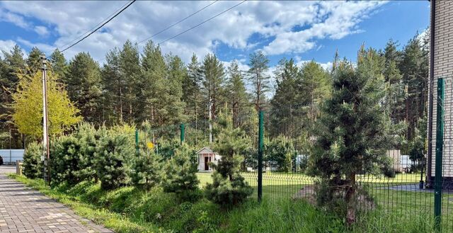 Клуб Минино кп, Ипподром фото