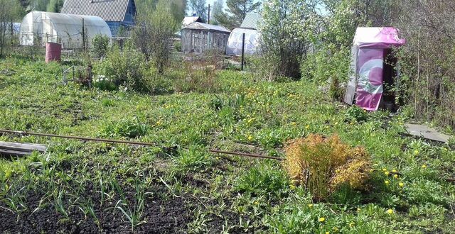 земля р-н Заводский снт Урожай Кемеровская обл. — Кузбасс, 235 фото