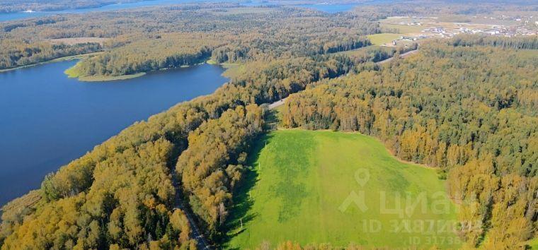земля г Пушкино ул Лесная Пушкинский городской округ фото 1