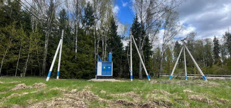 земля г Пушкино ул Лесная Пушкинский городской округ фото 2