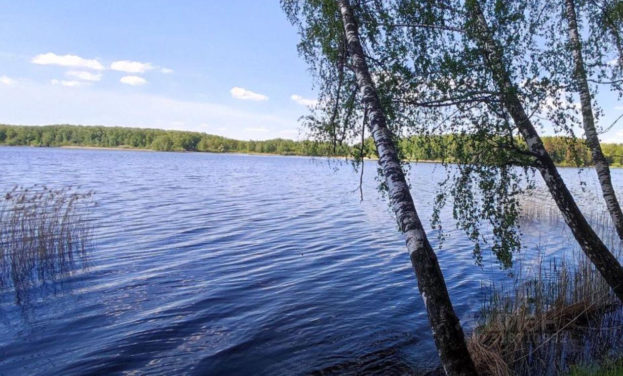 земля г Пушкино ул Лесная Пушкинский городской округ фото 3