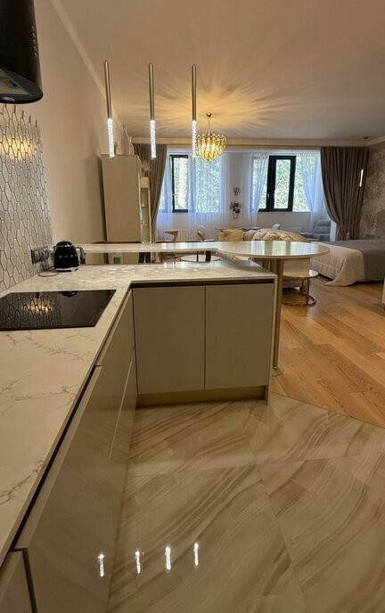 квартира г Сестрорецк Курорт ул Максима Горького 2к/1 Беговая фото 2